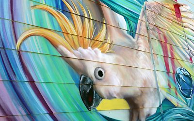 5 More Things To Do In Emu Park